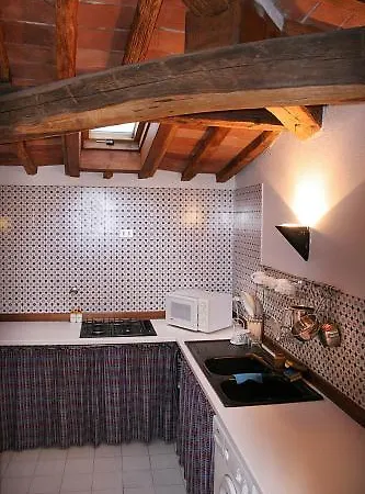 Ulivi Firenze