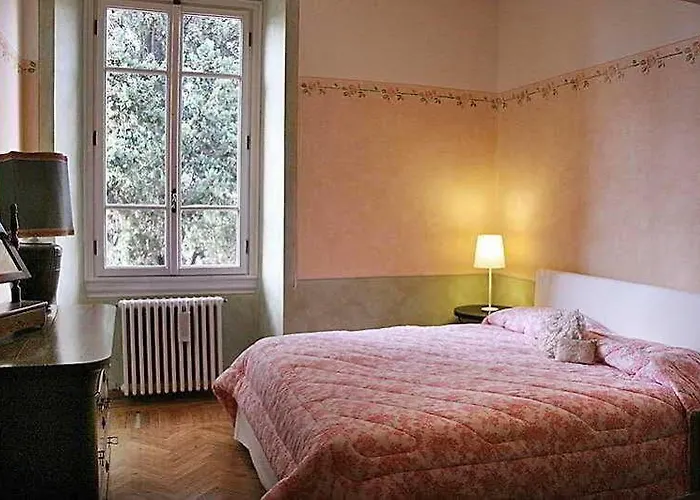 Ulivi 2*