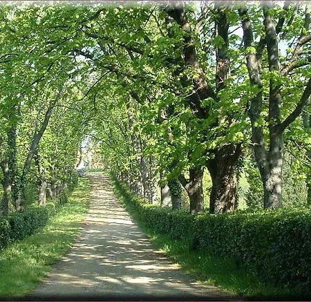 Ulivi 2* פירנצה