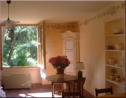 Ulivi Firenze