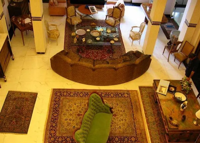 Ulivi Firenze