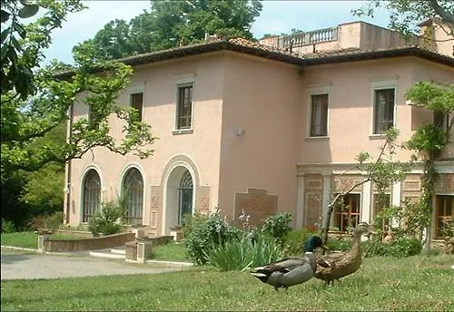 Ulivi 2*